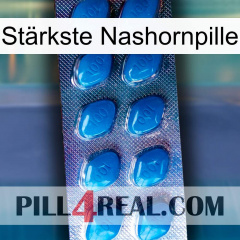 Stärkste Nashornpille viagra1